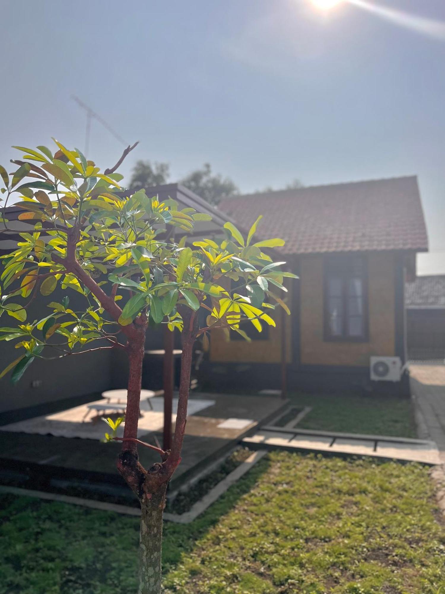Joglo Homestay Banyuwangi Banyuwangi  Exterior photo